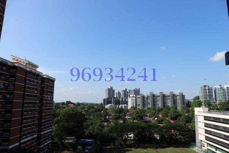 Blk 30 Holland Close (Queenstown), HDB 5 Rooms #150188612